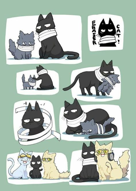 Mha As Animals, Mha Cats, Mha Animals, Human Kurogiri, Mha Comics, Shota Aizawa, Mha Stuff, My Hero Academia Shouto, Hero Wallpaper