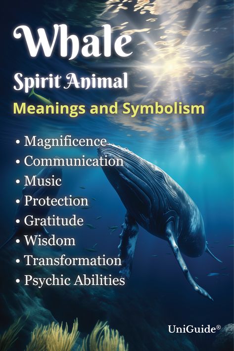 Whale Spirit Animal Meaning, Whale Tail Meaning, Whale Spirit Animal, Whale Symbolism, Charm Meanings, Whale Meaning, Owl And Butterfly, Spirituality Vs Religion, Native American Spirit Animals