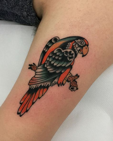 Black And White Parrot Tattoo, Parrot Traditional Tattoo, Tattoo Bicep, Bird Anatomy, Bicep Tattoos, Jungle Tattoo, Parrot Tattoo, Bird Tattoos For Women, Inner Bicep Tattoo