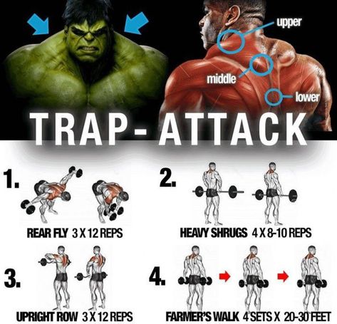 Trap Workout, Fitness Workout Plan, Traps Workout, Workout Man, Dynamic Stretching, Gym Antrenmanları, Workout Muscle, Full Workout, Muscle Building Workouts