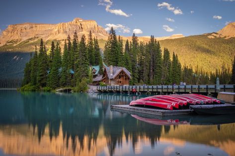 Lake O Hara: Ultimate Camping and Hiking Guide Glacier National Park Vacation, Emerald Lake Lodge, Yoho National Park, Moraine Lake, National Park Vacation, Emerald Lake, Lake Lodge, Hiking Guide, Ski Touring