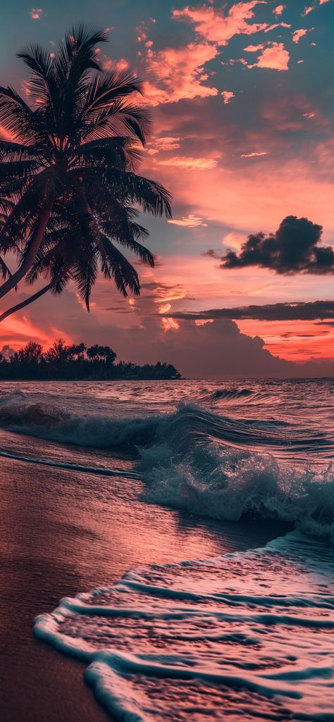 Tree Sunset Wallpaper, Tree Wallpaper Iphone, Beach Wallpaper Iphone, Iphone Wallpaper Photography, Palm Trees Wallpaper, Iphone Wallpaper Landscape, Cute Summer Wallpapers, Beautiful Wallpaper For Phone, Pretty Landscapes