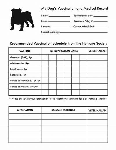 Puppy Shot Records Printable | Puppy Shot Schedule, Dog Breeding Business, Record Template, Pet Health Record, Dog Shots, Printable Dog, Free Puppies, Training Schedule, Pet Hacks