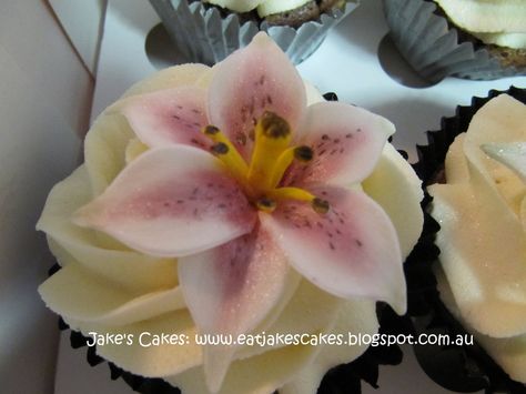 Lily Cupcakes, Quince Cake, White Frosting, Cute Snacks, Flower Cupcakes, Dream Cake, Pretty Birthday Cakes, Cute Birthday Cakes, Love Eat