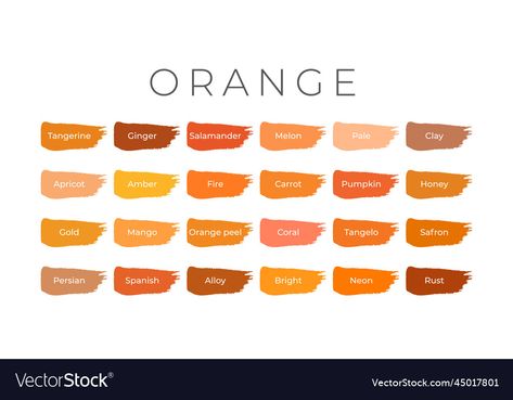 Paint Color Swatches, Orange Paint Colors, Muted Orange, Orange Color Palettes, Colors Shades, Orange Paint, Color Swatches, Paint Color, Color Shades