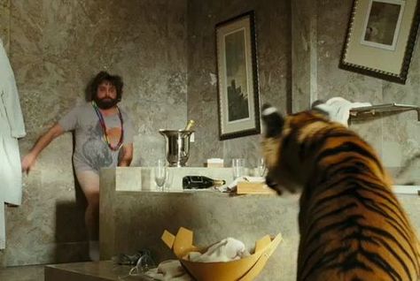 "There is a tiger in the bathroom!"  The Hangover (2009) Movie Bathroom, Bathroom Gallery Wall, Icon Bathroom, Zach Galifianakis, The Hangover, Funny Decor, Tiger King, Small Toilet, Funny Bathroom Decor