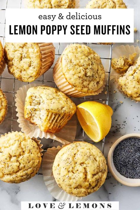 Lemon Poppy Seed Muffins Recipe - Love and Lemons Lemon Poppyseed Muffins No Sour Cream, Gf Lemon Poppyseed Muffins, Healthy Lemon Muffin Recipes, Lemon Poppyseed Muffins Healthy, Moist Lemon Poppyseed Muffins, Lemon And Poppy Seed Muffins, Lemon Protein Muffins, Healthy Lemon Poppyseed Muffins, Lemon Poppyseed Muffins Easy