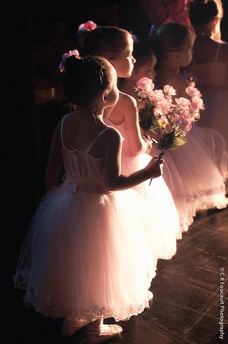 Ballet References, Little Ballerina Girl, Nutcracker Story, Ballerina Wedding, Ballerina Poses, Ballerina Kids, Kids Ballet, Ballet Recital, Baby Ballet