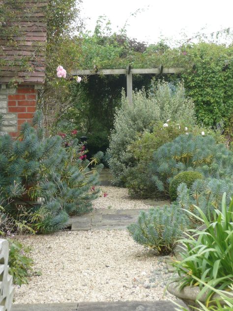 Cotswold gravel, York stone, Euphorbia Gravel Planting, Cotswold Gravel Garden, Cotswold Gravel, Cotswold Chippings Garden, Yorkshire Cream Gravel, Scottish Pebbles Garden, Cotswold Stone Garden, Garden Flagstone, Cotswold Gravel Driveway