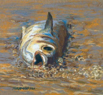 Dead Fish Drawing, Sustained Investigation, Fish Drawing, Dead Fish, Tempera Paint, Make Video, Fish Drawings, Daily Painting, Fish Painting