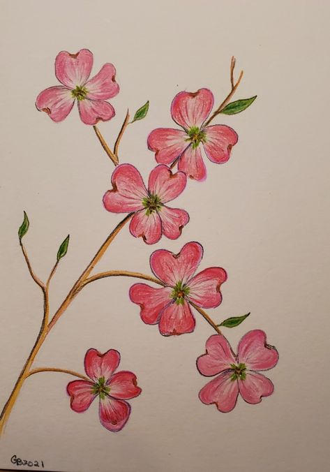 Simple Drawing With Colored Pencils, Colour Pencil Art Flowers, Colour Pencil Drawing Easy Flower, Colored Pencil Art Easy Ideas Flower, Pencil Colour Sketches Easy, Colored Pencil Drawings Of Flowers, Easy Colour Pencil Drawings, Flower Drawing With Color, Easy Pencil Colour Drawings