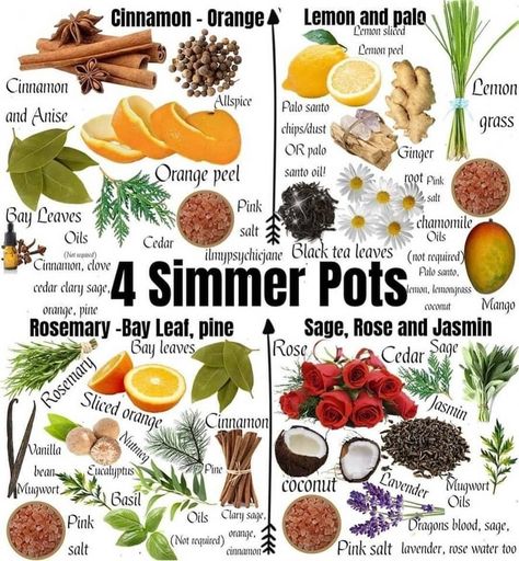 Summer Pots, Simmer Pots, Homemade Potpourri, Meditation Nature, Simmer Pot Recipes, Stove Top Potpourri, Potpourri Recipes, Love Meditation, Simmer Pot