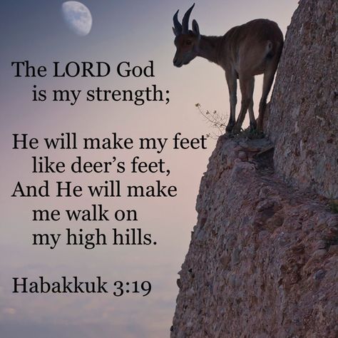 The Lord is my strength! He enables me to walk...even in challenging places! Habakkuk 3:19 #strenghthfortoday Habakkuk 3:19, Godly Images, Habakkuk 3 19, Godly Character, Bible Pics, Motivational Scriptures, The Lord Is My Strength, Christian Motivational Quotes, Quote Bubble