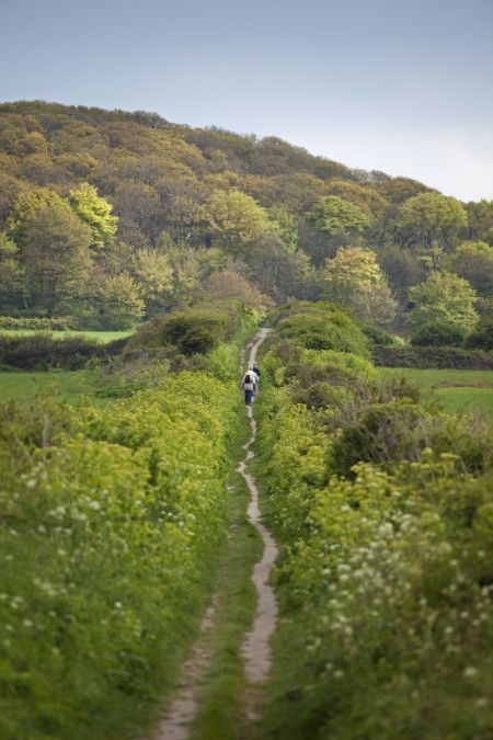 bucólico Trust Images, Landscape Sketch, Walking Routes, Image Nature, British Countryside, Dirt Road, Foto Art, National Trust, Interactive Map