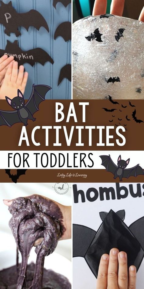 Bat Activities for Toddlers Halloween Sensory Activities, Easy Halloween Activities, Bat Activities, Sensory Activities For Toddlers, Halloween Sensory Bin, Bats Activities, Easy Learning Activities, Halloween Activities For Toddlers, Fun Halloween Activities