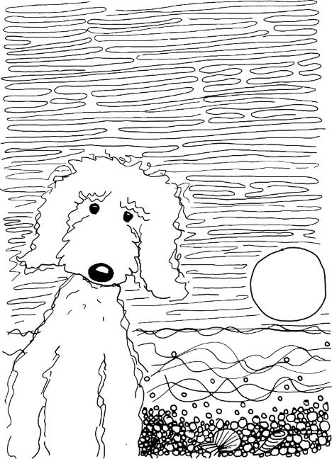 Labradoodle Drawing, Goldendoodle Art, Poodle Drawing, Drawing Sunset, Golden Doodle Dog, Doodle Cartoon, 강아지 그림, Golden Doodle, Doodle Dog