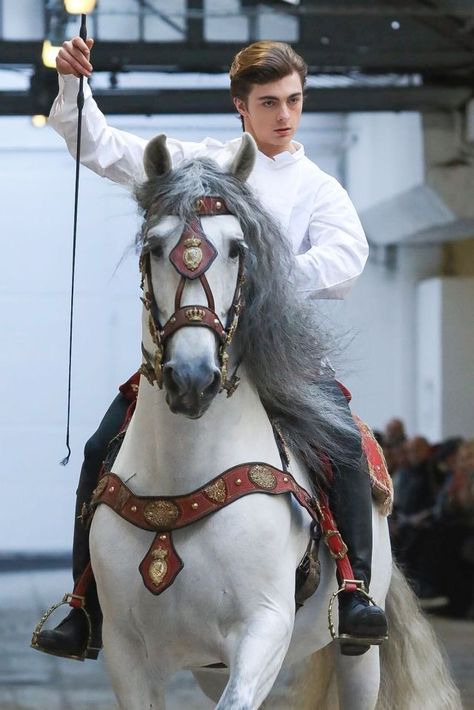 (No info on this pair. But beautiful) Horse Pose Reference, Knight Riding Horse, Horse Clothes, Horse Reference, Man On Horse, Horse Armor, Riding Horse, Andalusian Horse, Horse Gear