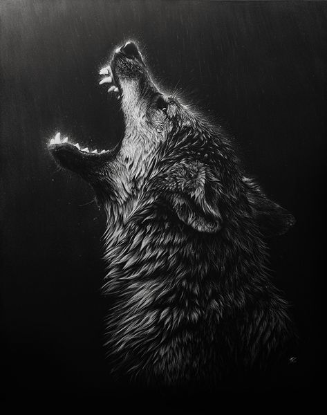 Scratchboard Art by Cristina Penescu Fenrir Tattoo, Scratchboard Art, Wolf Wallpaper, Wolf Love, Howl At The Moon, Wolf Spirit, Wolf Tattoos, 문신 디자인, Lone Wolf