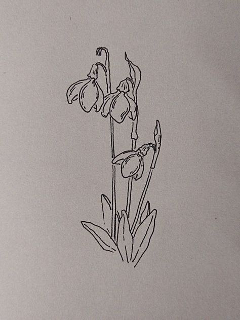 Snowdrop Doodle Simple, Lady Slipper Tattoo Simple, Snowdrop Flower Drawing Simple, Snow Drop Flower Tattoo Design, Snowdrop Line Drawing, Snowdrop Doodle, Snowbell Flowers Tattoo, Snow Drops Tattoo, Snow Flower Tattoo