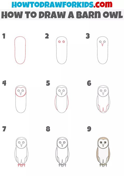 How To Draw Owls, How To Draw A Owl, How To Draw An Owl Step By Step, How To Draw An Owl, Harry Potter Owl Drawing, Owl Drawing Easy, Easy Owl Drawing, Owl Drawing Simple, Barn Owl Drawing