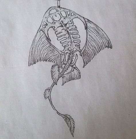 Sea Animal Skeleton Drawing, Stingray Skeleton Tattoo, Manta Ray Skeleton Tattoo, Nautical Line Tattoo, Animal Skeleton Tattoo Ideas, Sea Animal Tattoos Sleeve, Small Animal Skeleton, Whale Skeleton Tattoo, Sea Creature Skeleton