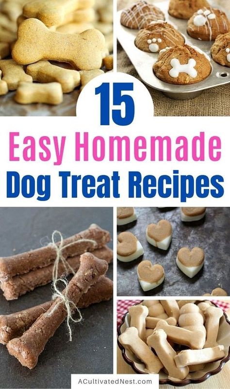 Your furbaby is sure to love these delicious homemade dog treats! They're all so easy to make, plus you'll know exactly what your dog is eating! | DIY dog treat recipes, #dogTreats #homemade #DIY #dogTreatRecipes #ACultivatedNest Natural Dog Treats Recipes, Easy Homemade Dog Treats, Homemade Dog Treat Recipes, No Bake Dog Treats, Soft Dog Treats, Pet Treats Recipes, Dog Treats Homemade Easy, Easy Dog Treat Recipes, Organic Dog Treats