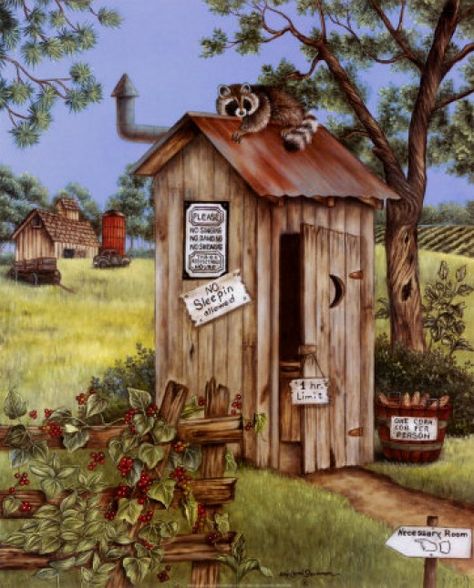 Off-Grid Composting Toilets and the Benefits of Humanure! Outhouse Pictures, Country Laundry Room, Outhouses Pictures, Country Laundry, Outhouse Bathroom, Out Houses, Raccoon Art, Composting Toilets, Room Painting