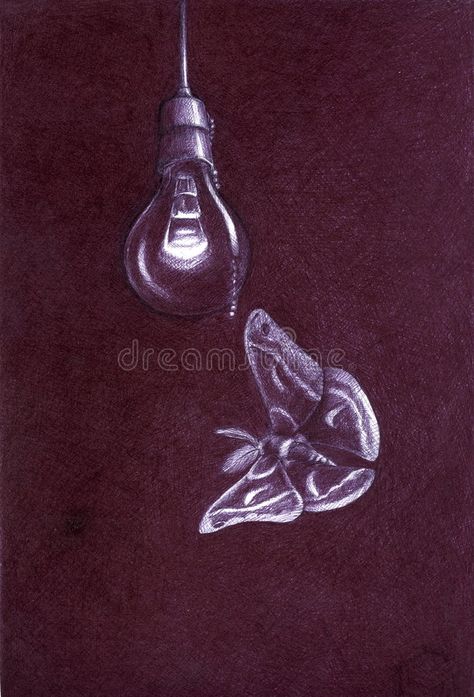 Moth Flying, Ballpoint Drawing, Ad Drawing, Cecropia Moth, Moth Fly, Moth Drawing, Glass Light, Purple Glass, Indigo Blue