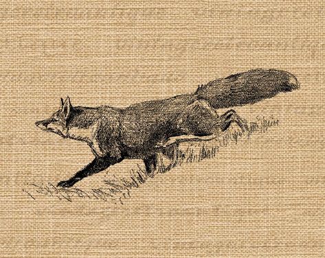 "High resolution, high quality digital vintage fox graphic for iron on transfers, making prints, tote bags, and many other uses.  Real printable antique clip art.  This antique fox illustration graphic is high quality and includes 11 x 14 inch and 8.5 x 11 inch sizes.  Clear background version included with every graphic.   For more printable fox graphics visit www.etsy.com/shop/VintageRetroAntique/search?search_query=fox -------------------------- Printable art for personal or small business co Vintage Fox Illustration, Tatted Girl, Fox Printable, Fox Graphic, Historical Illustration, Vintage Fox, Animal Doodles, Fox Illustration, Printable Animals