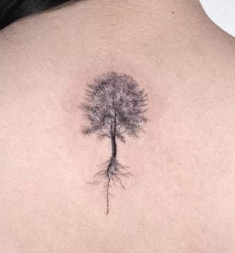 27 Beautiful Tree Tattoos - A Guide to Their Meanings Oak Tree Tattoo Small, Oak Tree Tattoo Designs, Dead Tree Tattoo, Tree Tatto, Aspen Trees Tattoo, Birch Tree Tattoos, Maple Tree Tattoos, Yggdrasil Tattoo, Tree Roots Tattoo