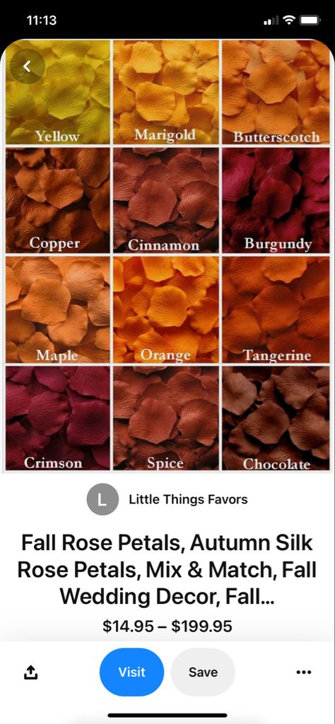 Cinnamon And Gold Wedding, Wedding Theme Color Schemes, Extravagant Wedding Dresses, Wedding Orange, Spiced Chocolate, Silk Rose Petals, Extravagant Wedding, Brown Wedding, Orange Spice