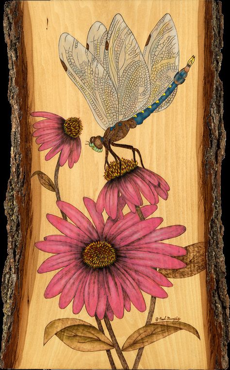 Dragonfly Wall Decor, Dragonfly Artwork, Beginner Wood Burning, Wood Burning Techniques, Wood Burning Stencils, Pyrography Patterns, Pyrography Art, Gourds Crafts, Wood Burning Crafts