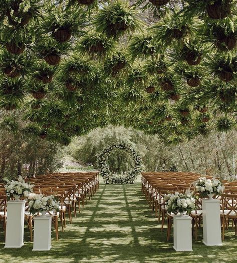 Ethereal Gardens | Weddings (@etherealgardenvenue) • Instagram photos and videos 40 Acres, Garden Wedding Venue, Gardens Wedding, Future Wedding Plans, Floral Garden, Garden Wedding, Future Wedding, Wedding Inspo, Floral Wedding