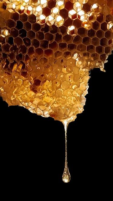 Beehive Photography, Miel Aesthetic, Honeycomb Aesthetic, Honey Art, Honey Logo, Honey Photography, Bee Bop, Growth And Decay, Fruit Packaging