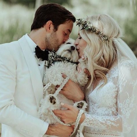 Avon Colorado, Puppy Wedding, Dog Wedding Outfits, Wedding Dresses Whimsical, Maltese Poodle, Mountain Bride, Fluffy Clouds, Wedding Pets, Dog Wedding