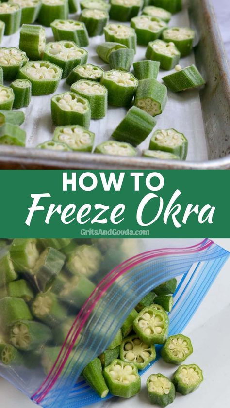 Growing Okra, Fresh Okra, Preserving Vegetables, Freezing Vegetables, Pickled Okra, Canning Vegetables, Okra Recipes, Frozen Veggies, Food Saver