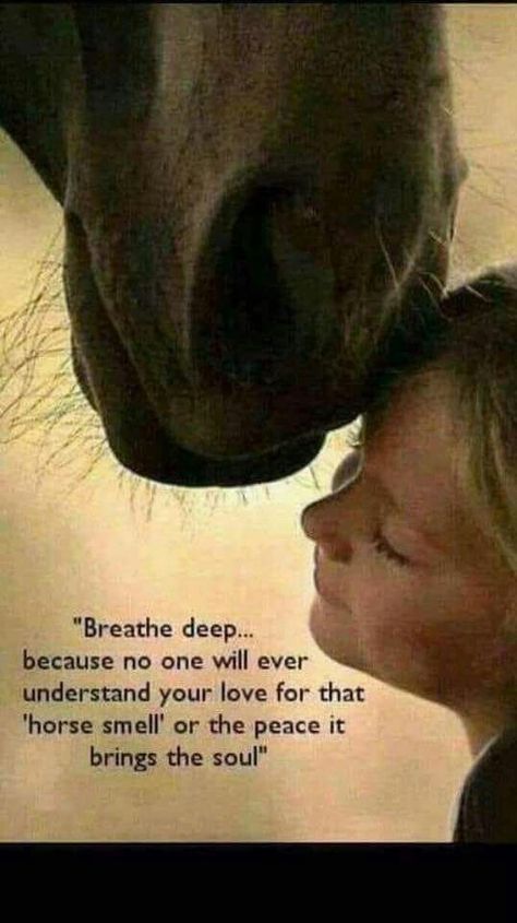 Breathe deep..because no one will ever understand your love for that horse smell or the peace it brings the soul. Equine Quotes, Inspirational Horse Quotes, Horse Riding Quotes, Equestrian Quotes, Cowgirl Quotes, Riding Quotes, Country Girl Quotes, Barrel Horse, Horse Quotes