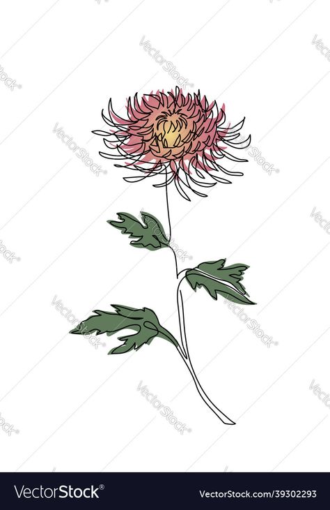 Drawing Chrysanthemum, One Continuous Line Drawing, Line Drawing Art, Flower Sketch, Branch Vector, Line Vector, Continuous Line Drawing, Flower Sketches, Continuous Line