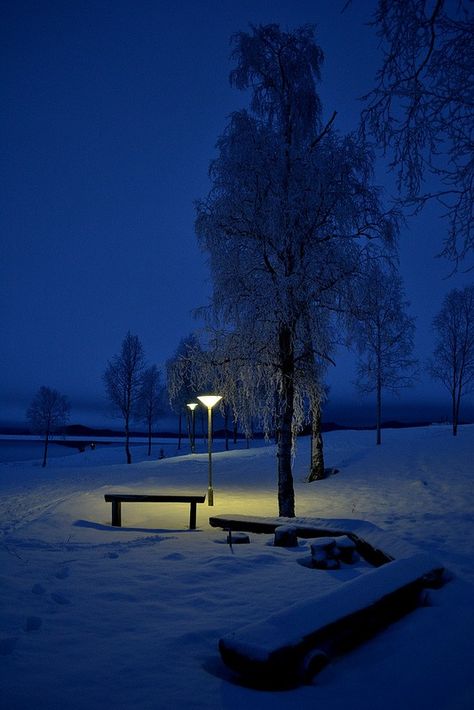 Snowy Night Snow Night, Night Scenery, Dark Winter, Winter Magic, Autumn Scenery, Winter Scenery, Blue Hour, Winter Night, Winter Aesthetic