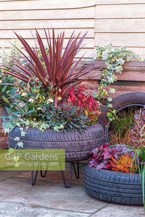 View of raised tyre planter, planted with autumnal plants. Tyre Planter Ideas, Tyre Planters Tires Ideas, Tyres Recycle Garden, Diy Tires, Tyre Garden Ideas, Tyre Planters, Recycled Tyres Garden, Tyre Garden, Recycled Tyres