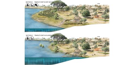 Amphibious Culture: Harmonizing Between Life and Seasonally Flooded Forest | 2016 ASLA Student Awards Wetland Design, Landscape Presentation, Flooded Forest, Museum Concept, Landscape Architecture Presentation, Landscape Architecture Portfolio, Landscape Architecture Diagram, National Geographic Maps, Landscape Architecture Graphics