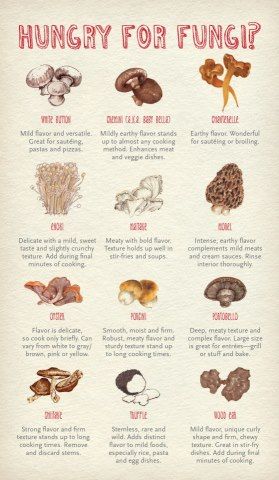 Mushrooms Medicinal, Tenderloin Beef, Mushrooms Poster, Edible Wild Mushrooms, Mushroom Foraging, Mushroom Identification, Mushroom Varieties, Morel Mushrooms, Mushroom Poster