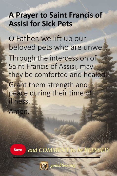 A Prayer to Saint Francis of Assisi for Sick Pets Dog Prayers Sick, Prayers For Animals, Prayers For Pets Dogs, Prayer For Sick Dog, Prayers For Comfort, Prayers For Cats, Prayers For Sick Pets Dogs, Pet Prayers, St Christopher Prayer