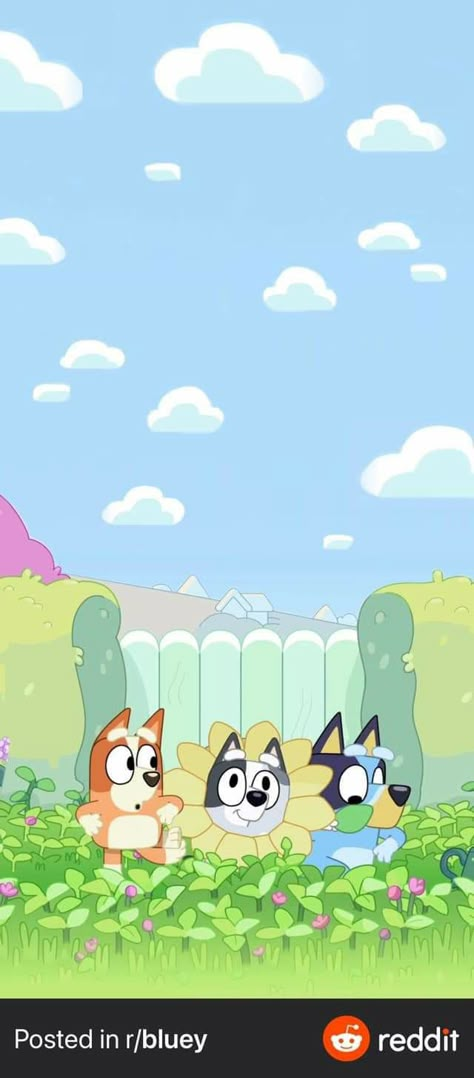 Bluey Lockscreen Wallpaper, Bluey Show Wallpaper Iphone, Bingo From Bluey Wallpaper, Bluey Valentines Wallpaper, Bluey Backyard Background, Bluey Cartoon Tattoo Ideas, Bluey Phone Wallpapers, Bluey Bingo Wallpaper, Bluey Widget