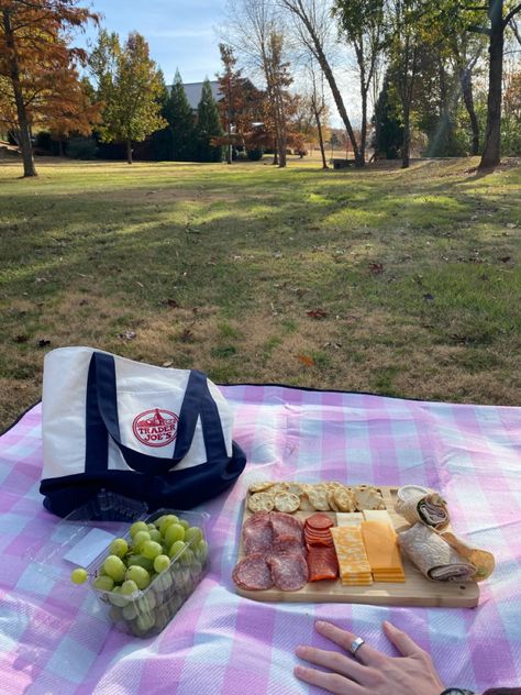 pink picnic, aesthetic picnic, date ideas, picnic date, summer, spring, trader joes picnic Pink Picnic Aesthetic, Aesthetic Picnic Date, Date Snap, Picnic Date Ideas, Pink Picnic, Ideas Picnic, Picnic Vibes, Aesthetic Picnic, Picnic Aesthetic