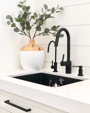 A House We Built, Big Basin, Black Fixtures, Black Kitchen Sink, Black Sink, Modern Sink, Black Kitchen Faucets, Cottage Style Homes, Soap Pump