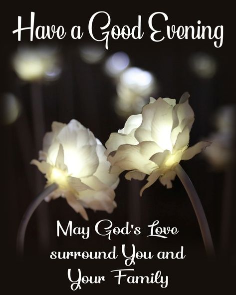 Evening Blessings Beautiful, Monday Night Blessings, Good Night God Bless You, Good Evening Blessings, Good Night Blessings Prayer, Good Night And God Bless, Goodnight Pics, Good Night God Bless, Greetings English