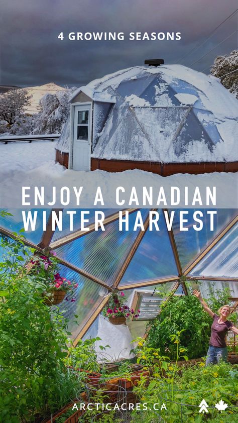 Tropical Greenhouse In Winter, Grow Dome Green Houses, Geometric Dome Greenhouse, Growing Dome Greenhouse, School Greenhouse Ideas, Winter Proof Greenhouse, Canadian Winter Greenhouse, Deep Winter Greenhouse, Earth Sheltered Greenhouse