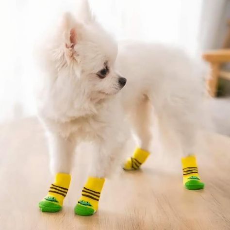 4Pcs Cute Pet Dog Socks #dog #clothes #socks Cute Pet Dog, Dog Socks, Cute Pet, April 7, Pet Dog, Dog Clothes, Pet Dogs, Cute Animals, Socks