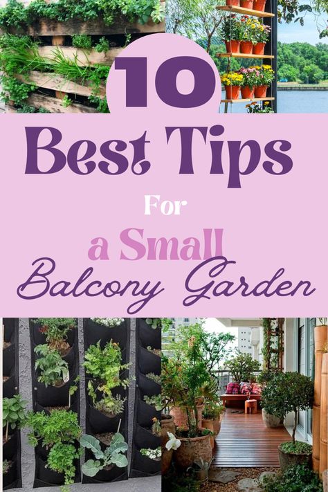 If you've got a small balcony and want to transform it into a lush garden oasis, I've got just the thing for you! Check out this post titled "10 Best Tips for a Small Balcony Garden." It's packed with helpful advice and creative ideas to make the most of your limited space. From vertical gardening to choosing the right plants, you'll find everything you need to create a beautiful and thriving balcony garden. Happy gardening! 🌱🌼 #SmallBalconyGardenTips #balconygarden #balconygardenideas #g Small Apartment Balcony Ideas, Cherry Tomato Plant, Apartment Balcony Garden, Small Balcony Garden, Pallet Planter, Garden Stand, Balcony Plants, Organic Plants, Small Balcony